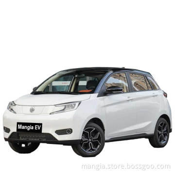 YOUNGGUANGXIAOXIN a mini electric vehicle made in China can be driven at a high speed of 408KM and can be recharged for adults